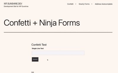 Confetti + Ninja Forms